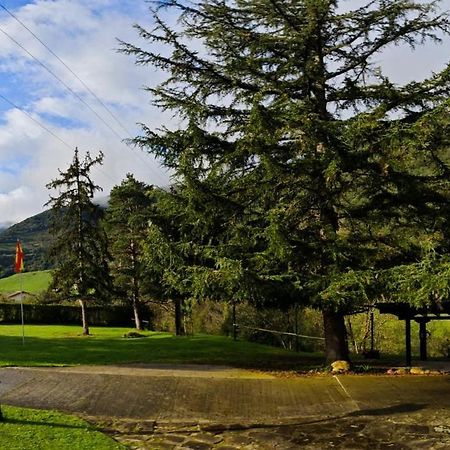 El Nial De Los Pinos Ojedo Esterno foto